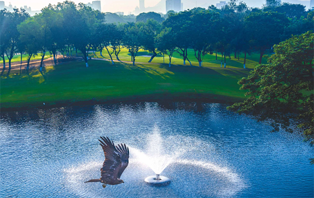 Overlooking Lush Greens